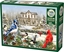Picture of Puzzle 1000 Ptasie zebranie G3