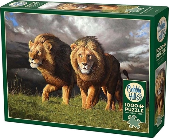 Изображение Puzzle 1000 Zblia si burza G3