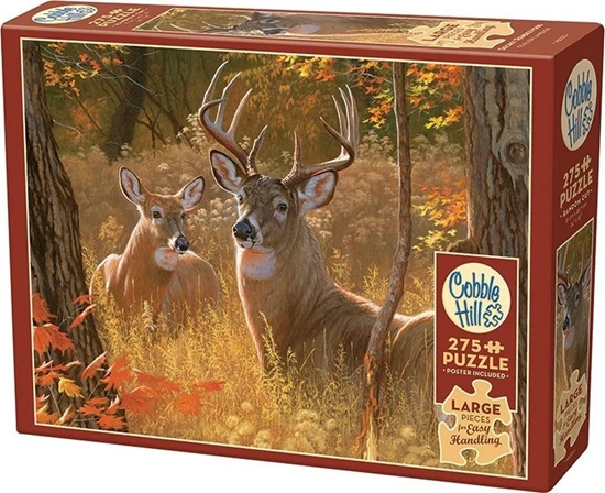 Изображение Cobble Hill Puzzle 275 XL Urocze spotkanie G3