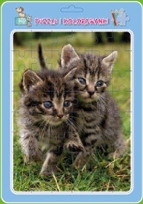 Picture of Puzzle w ramce z kolorowank. Koty