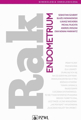 Изображение PZWL Rak endometrium