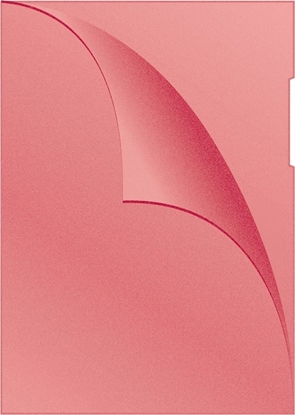 Attēls no Q-Connect OBWOLUTA Q-CONNECT TYPU L, PP, A4, GROSZKOWA, 120MIKR., CZERWONA KF00306