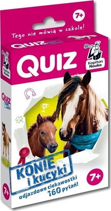 Picture of Quiz Konie i kucyki