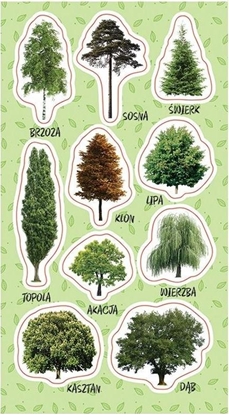 Изображение Ranok Naklejki Drzewa