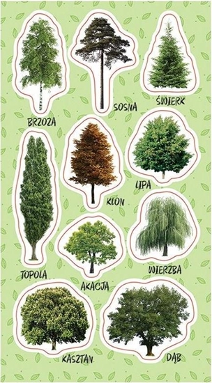 Изображение Ranok Naklejki Drzewa