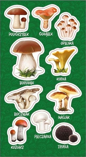 Изображение Ranok Naklejki Grzyby jadalne