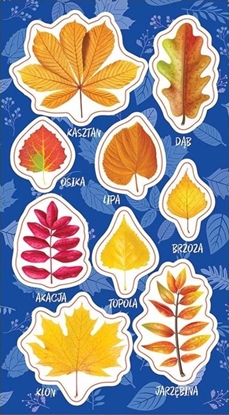 Изображение Ranok Naklejki Jesienne licie