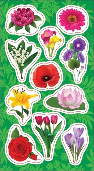 Изображение Ranok Naklejki Kwiatki