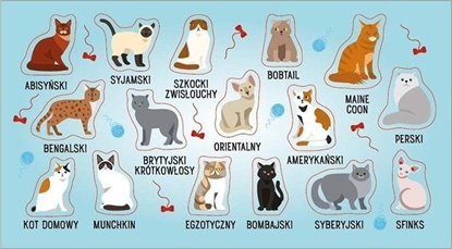 Attēls no Ranok Naklejki Rasy kotów