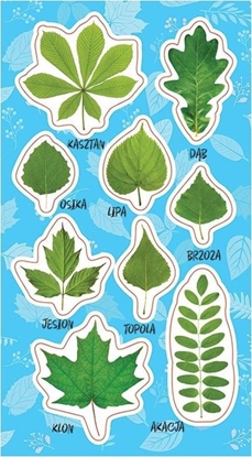 Изображение Ranok Naklejki Wiosenne licie