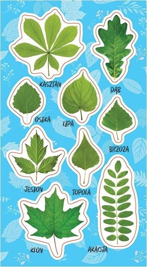 Изображение Ranok Naklejki Wiosenne licie