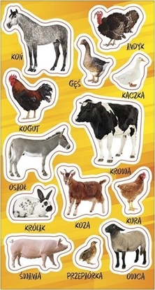 Изображение Ranok Naklejki Zwierzta domowe