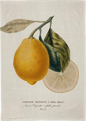 Изображение Rcznik kuchenny - Cytryna