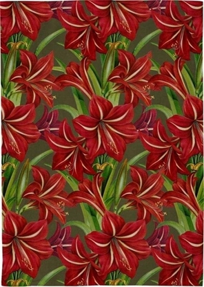 Изображение Rcznik kuchenny - Gwiazda betlejemska