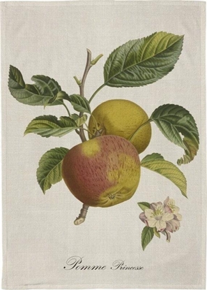 Изображение Rcznik kuchenny - Jabo