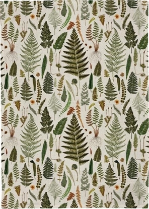 Изображение Rcznik kuchenny - Paprocie