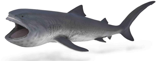 Picture of Rekin wielkogbowy