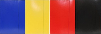 Attēls no Rexus TECZKA KOLOR MIX WZORÓW 049 XW