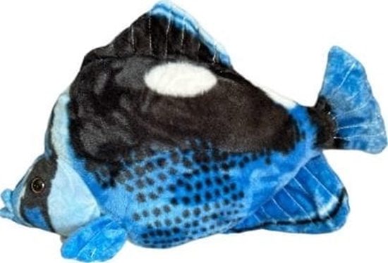 Изображение Ryba Hepatus niebieska 41cm