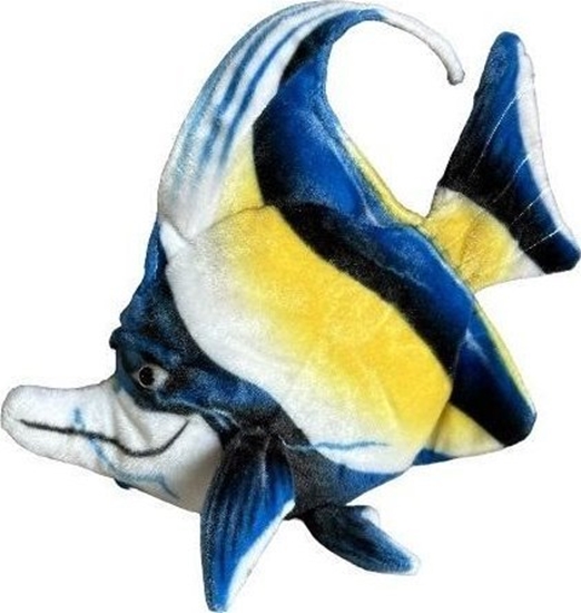 Picture of Ryba morska Skalar 35cm