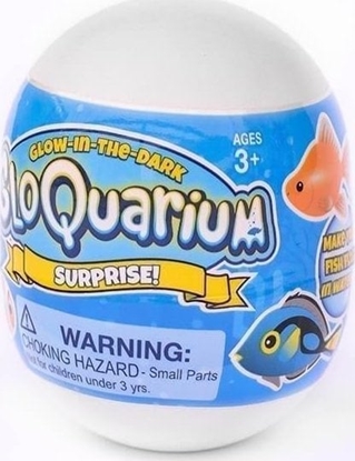 Изображение Rybka - niespodzianka akwariowa wieci w ciemnoci