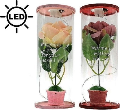 Изображение Róa w tubie LED MIX