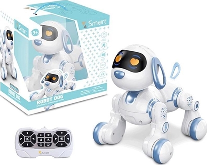 Изображение Robot Pies R/C