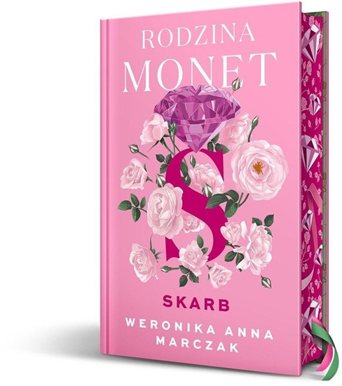 Picture of Rodzina Monet T.1 Skarb wyd. specjalne EDUKAMP