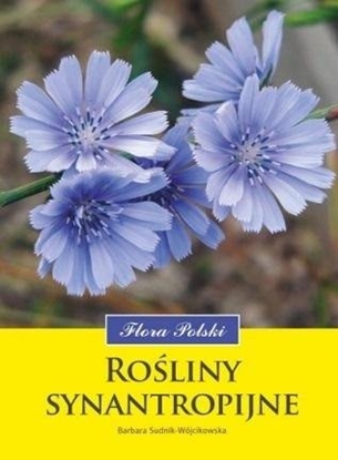 Изображение Roliny synantropijne. Flora Polski EDUKAMP