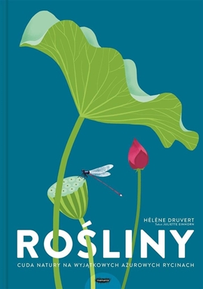 Picture of Roliny. Cuda natury na wyjtkowych aurowych ryci EDUKAMP