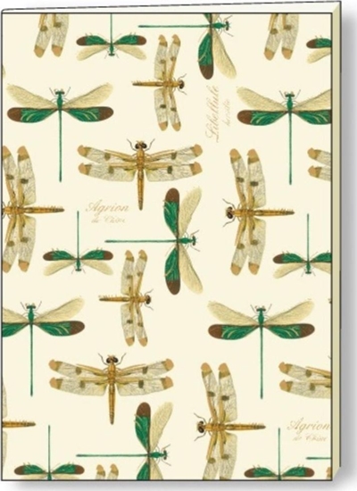 Изображение Rossi Notatnik ozdobny A5 BR NB 101 A ROSSI