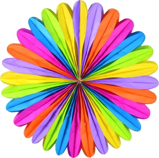 Изображение Rozeta multikolor rainbow