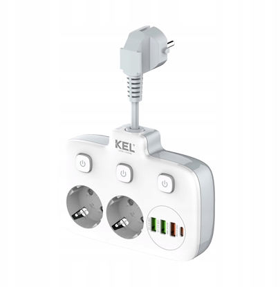 Picture of Rozganik podwójny na kablu z indywidualnymi wcznikami + USB R-273SWS/CA