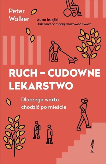 Picture of Ruch - cudowne lekarstwo EDUKAMP