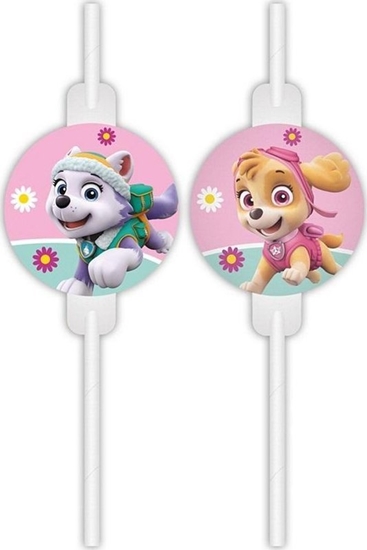 Picture of Rurki papierowe z medalionem Paw Patrol 4szt