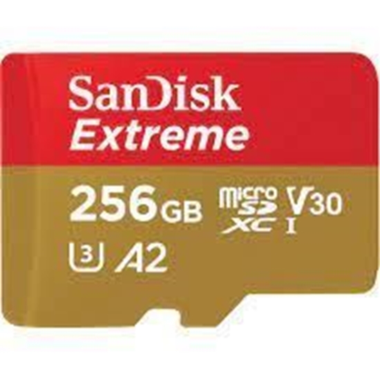 Picture of SANDISK BY WESTERN DIGITAL MEMORY MICRO SDXC 256GB UHS-I/W/A SDSQXAV-256G-GN6MA SANDISK