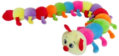 Изображение Sandy Stonoga (C4085)