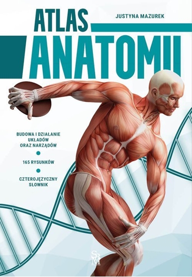 Picture of SBM Atlas anatomii