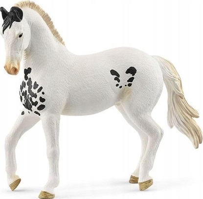 Attēls no SCHLEICH HORSE CLUB Marwari Stallion