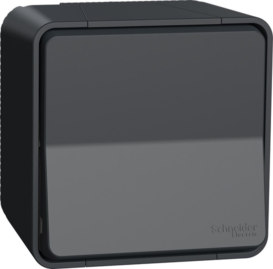 Picture of Schneider Electric Mureva Styl Przycisk antracytowy MUR35026