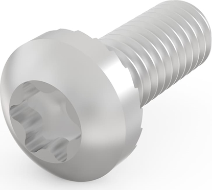 Изображение Schroff Panhead Screw, Torx, M4 x 10, 100 Pieces