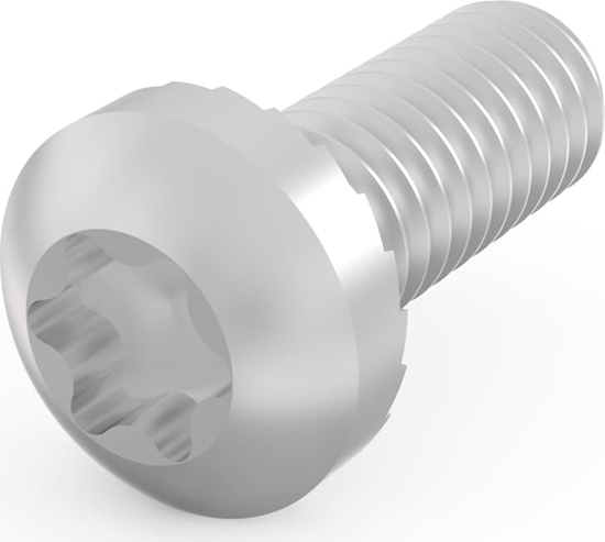 Изображение Schroff Panhead Screw, Torx, M4 x 10, 100 Pieces