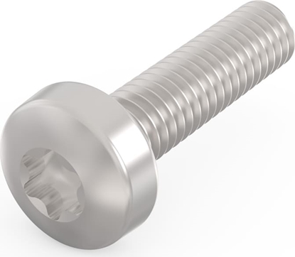 Изображение Schroff Panhead Screw, Torx, Steel Nickel Plated, M2,5 × 10 mm, 100 Pieces