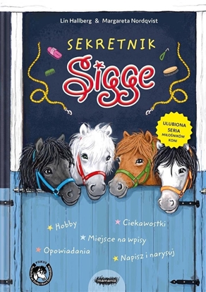 Picture of Sekretnik Sigge EDUKAMP