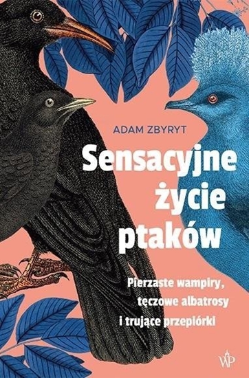 Picture of Sensacyjne ycie ptaków EDUKAMP