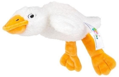 Picture of Sensoryczna G biaa