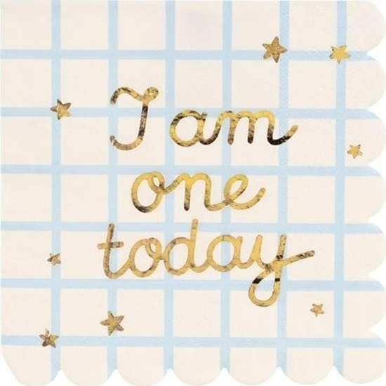 Picture of Serwetki papierowe I am one today 33x33cm