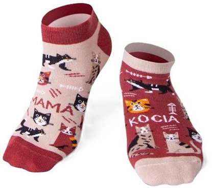 Picture of Skarpety stopki Kocia mama 39-42 EDUKAMP