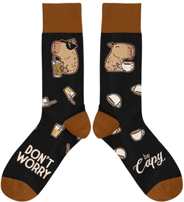 Picture of Skarpetki - Dont Worry, Be Capy rozm. 37/41 EDUKAMP