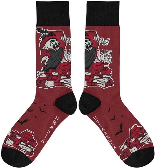 Изображение Skarpetki - Hrabia Ksikula rozm. 37/41